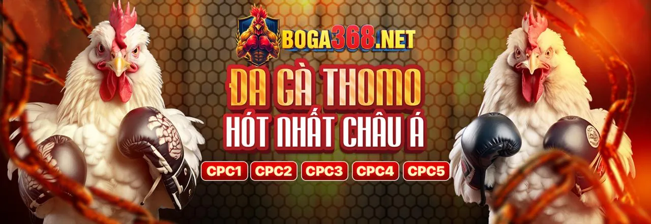 Đá gà trực tuyến 28bey - Trận đấu gà kịch tính